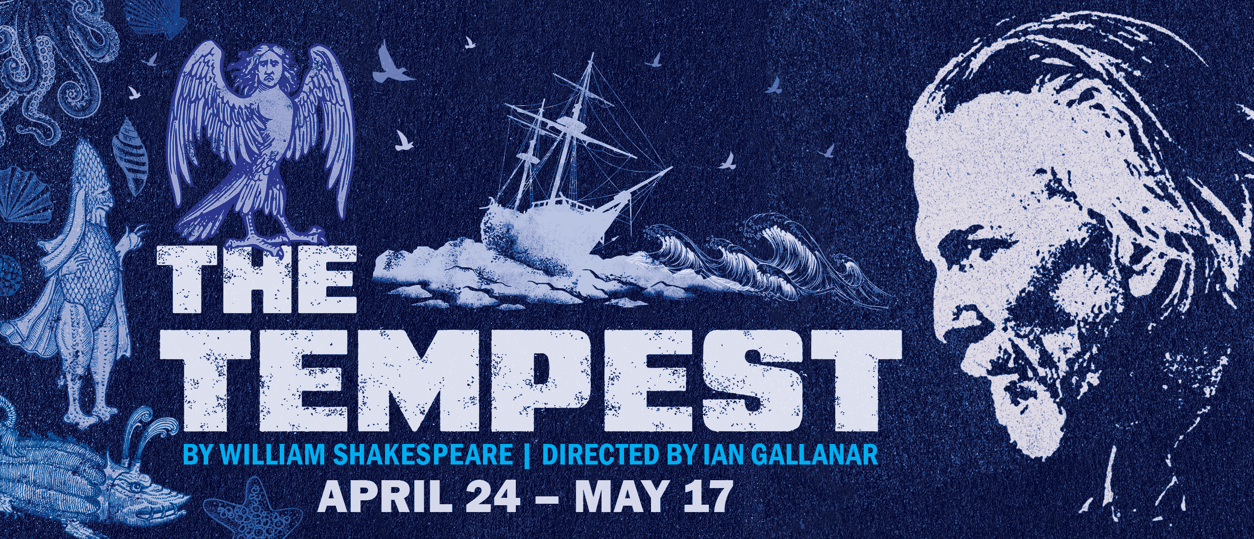 2026 Tempest HOMEPAGE HEADER