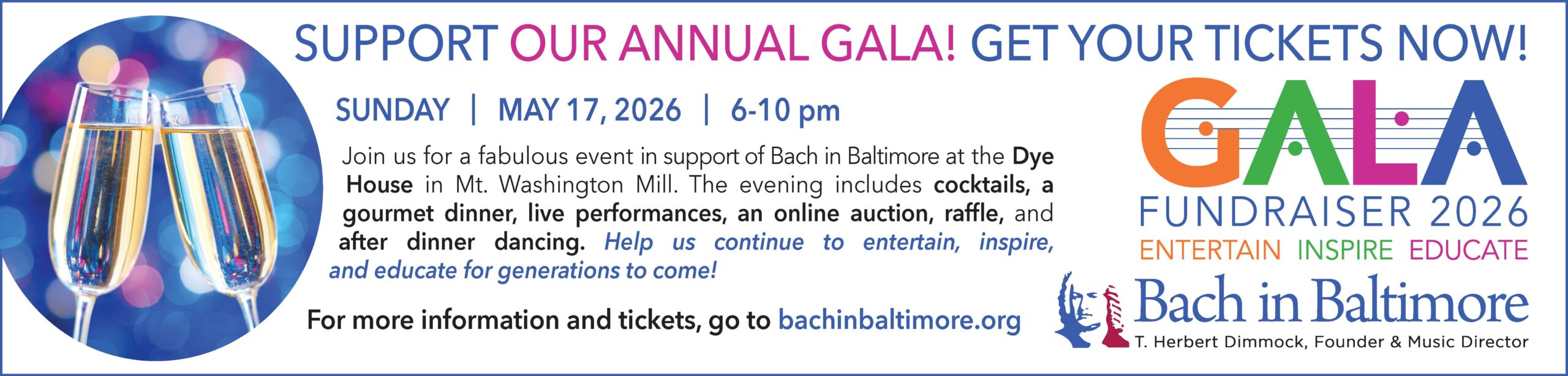 BachinBalto digital banner ad for CSC TEMPESTR