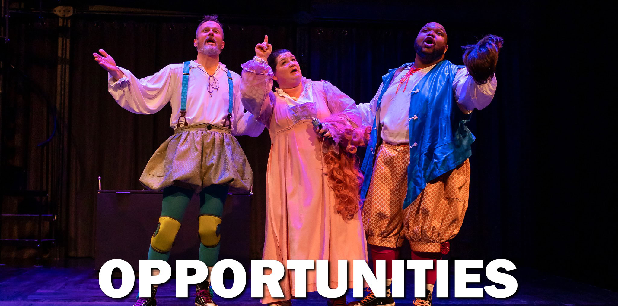 OPPORTUNITIES